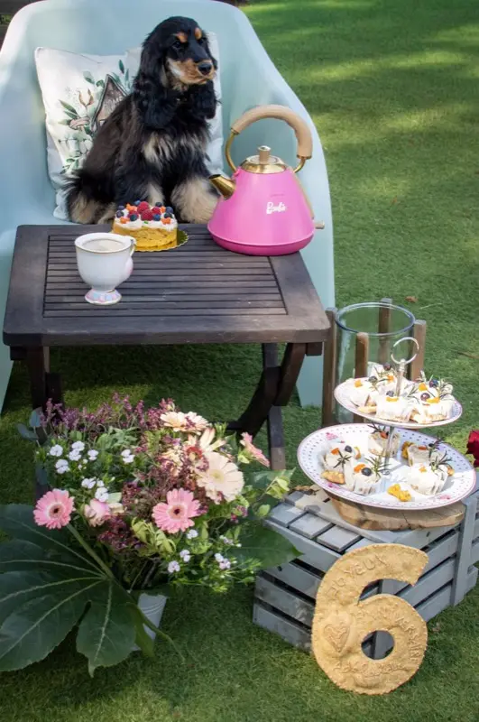 Adélaïde le cocker lors de sa fête d'anniversaire avec cupcakes et gourmandises artisanales