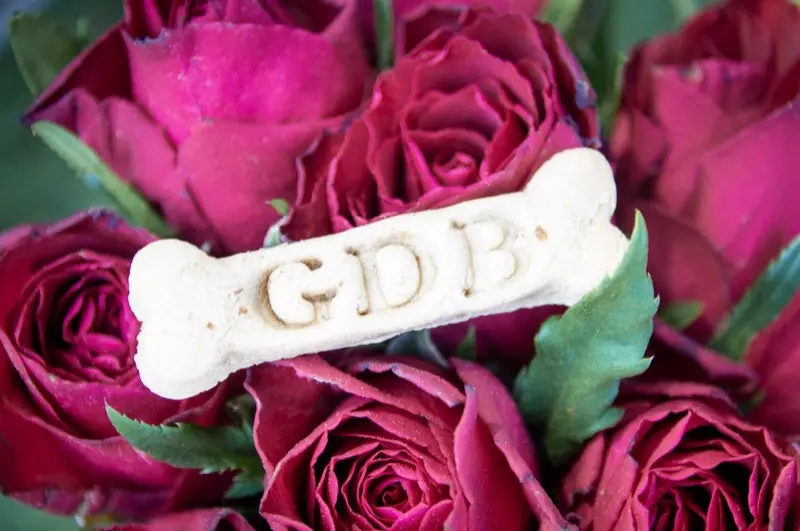 Biscuits secs pour chien artisanaux personnalisés aux initiales GDB en forme d'os