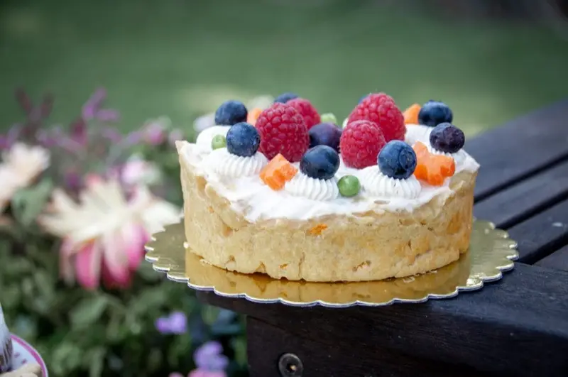 Gâteau d'anniversaire pour chien décoré de fruits frais et crème naturelle