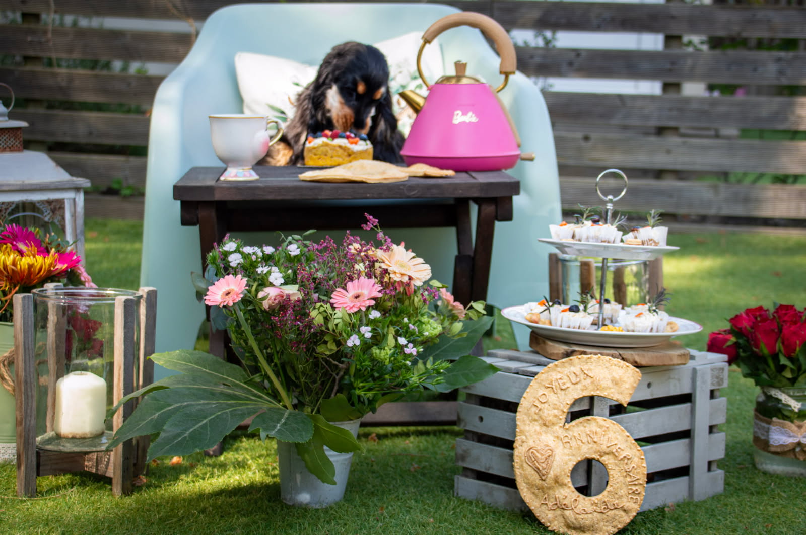 Coffret cadeau de biscuits et friandises artisanales pour chien