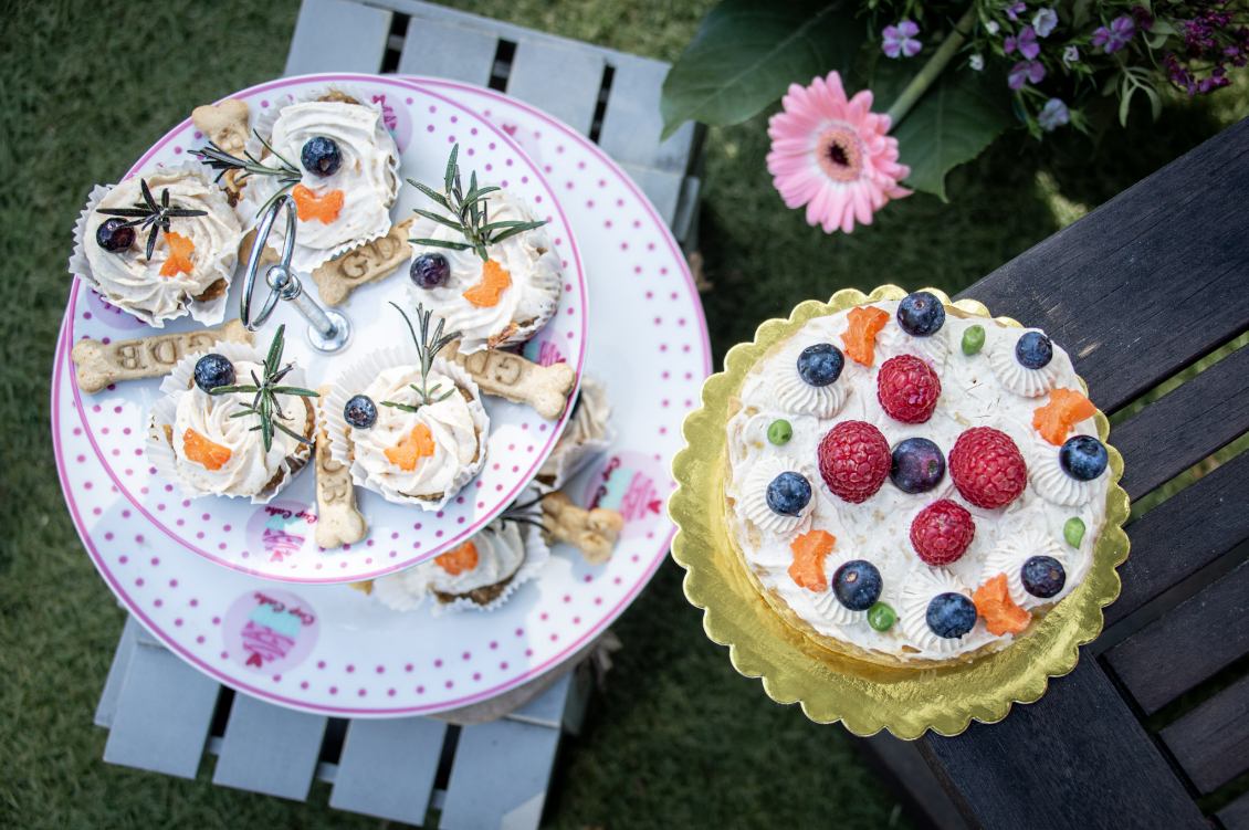 Gâteau d'anniversaire pour chien artisanal avec fruits frais et crème naturelle